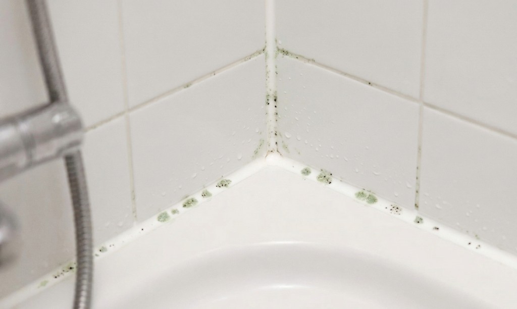 Moisissure dans un coin de salle de bain — exemple de diagnostic Mriguel